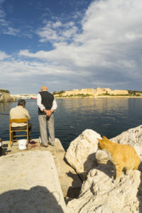 %ef%bc%91%ef%bc%95%e3%83%9e%e3%83%ab%e3%82%bf%e5%b3%b6%e3%81%af%e3%80%8c%e3%83%8d%e3%82%b3%e3%81%ae%e5%b3%b6%e3%80%8d%e3%81%a8%e3%82%82%e5%91%bc%e3%81%b0%e3%82%8c%e3%82%8b%e3%81%bb%e3%81%a9%e3%83%8d