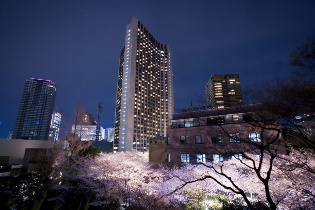 ホテル外観夜景と桜並木のライトアップ